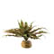 Exo-Terra Star Cactus - Pianta finta in plastica